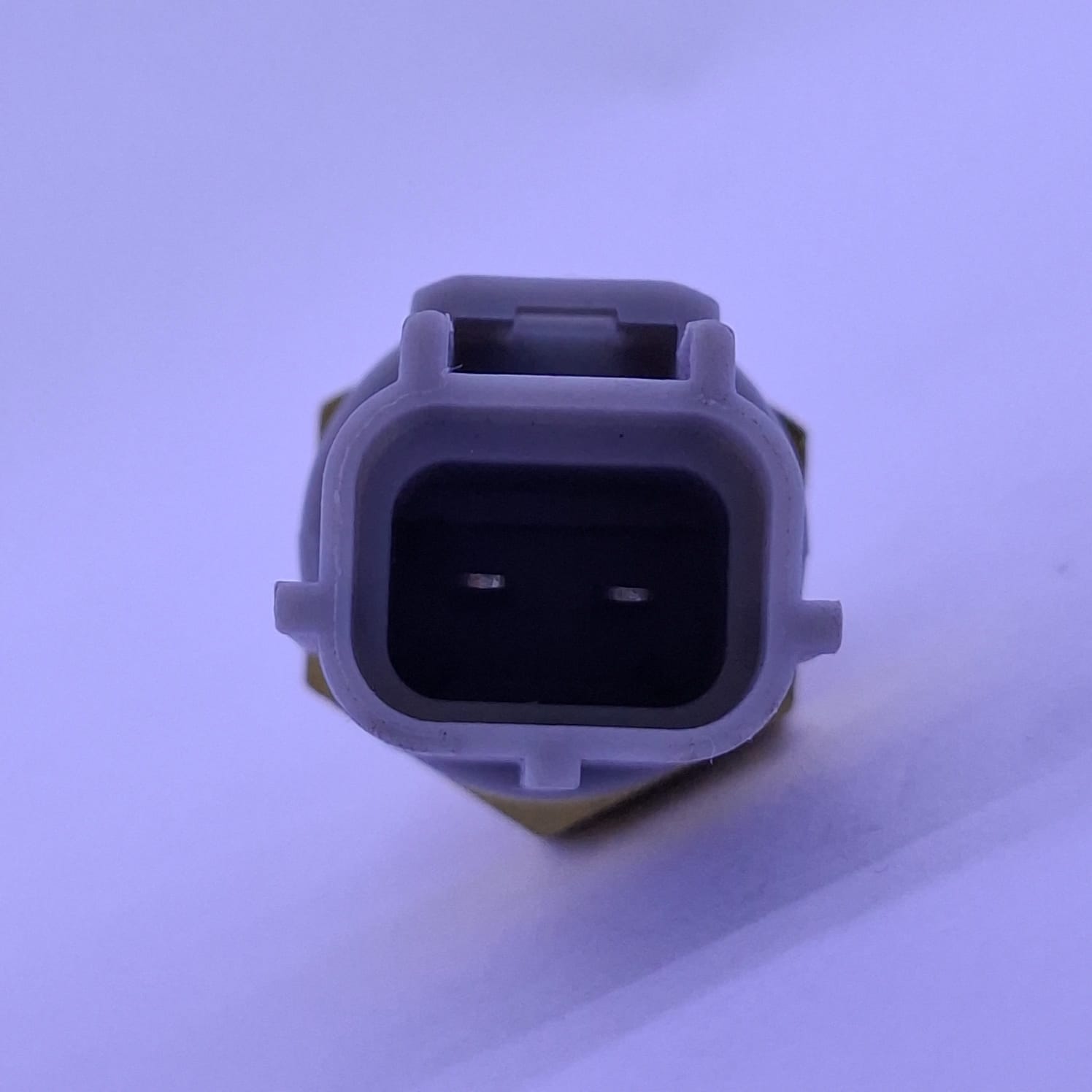 Pera de Temperatura CEMA para Ford - Image 2